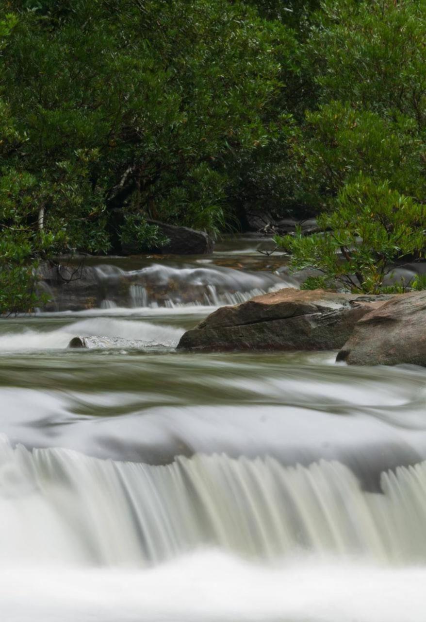 Thansur Tatai Eco Resort المظهر الخارجي الصورة
